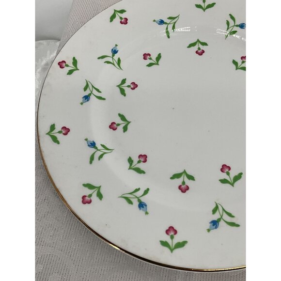 Royal‎ Victoria ROV12 Fine Bone China Floral Salad Dessert Plates Set Of 2 - Picture 7 of 7